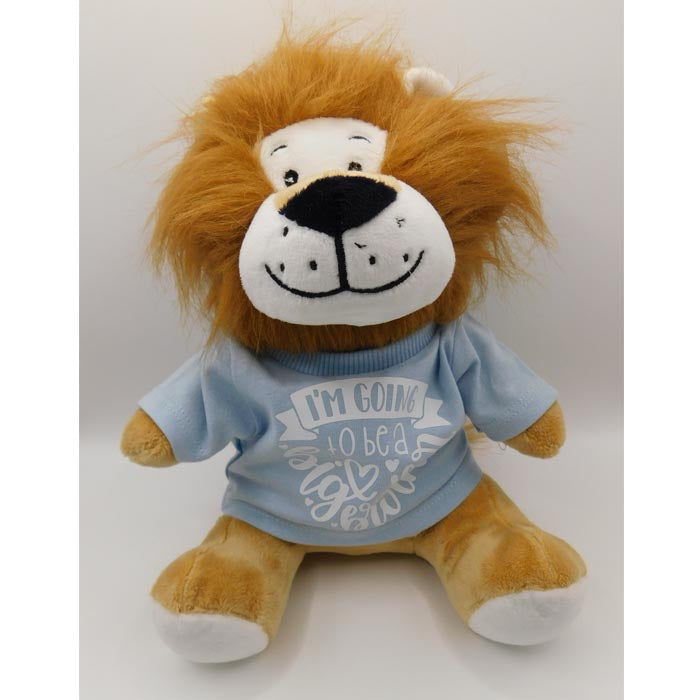 'I'm going to be a Big brother' teddy bear/ sibling gifts/ new baby/ adoption