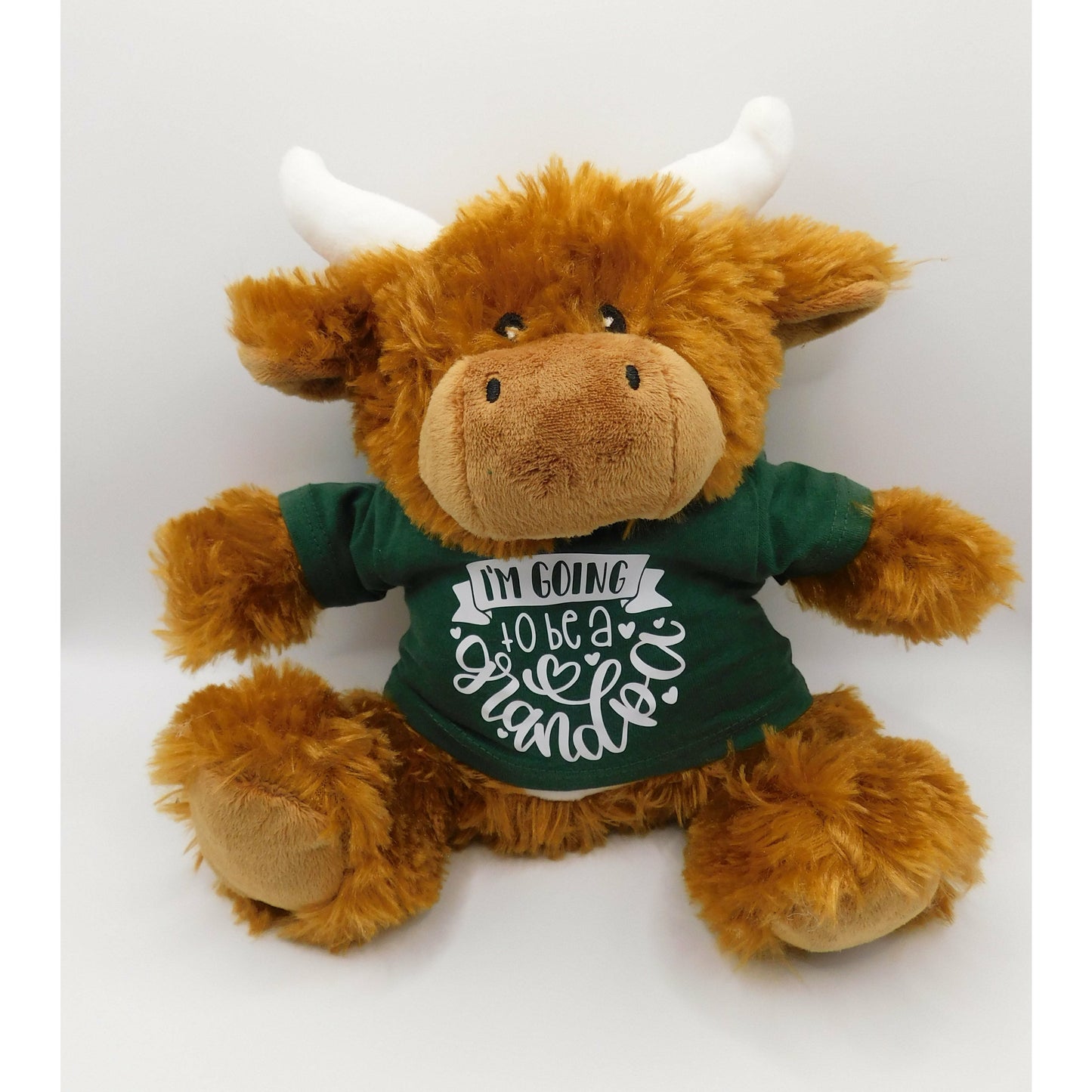 'I'm going to be a Grandpa' teddy bear/ family announcement/ gifts/ new baby/ adoption