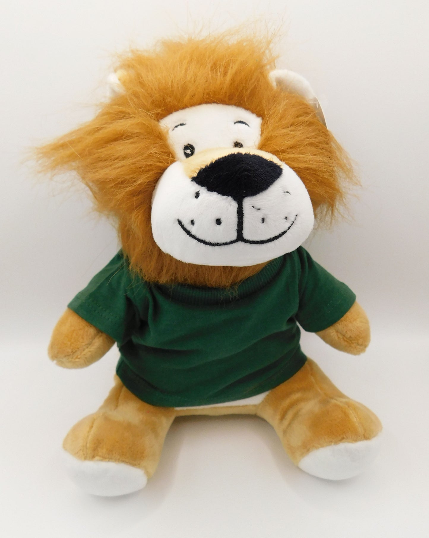 'I'm going to be a Big brother' teddy bear/ sibling gifts/ new baby/ adoption