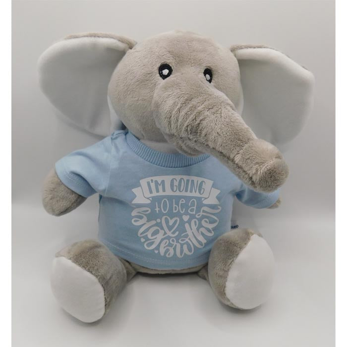 'I'm going to be a Big brother' teddy bear/ sibling gifts/ new baby/ adoption