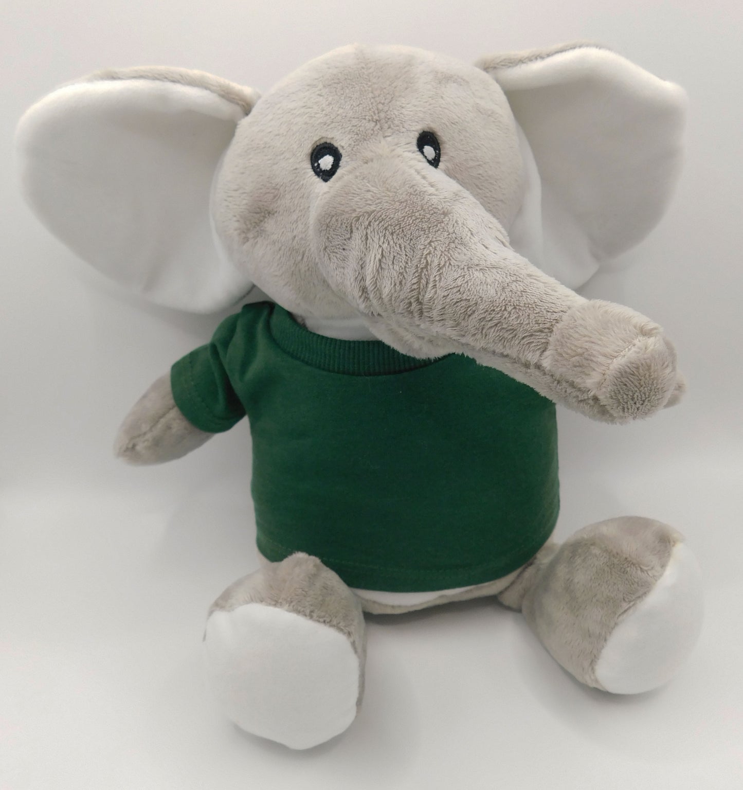 'I'm going to be a Big brother' teddy bear/ sibling gifts/ new baby/ adoption