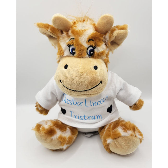 New baby teddy bear / 1st birthday/ Christening gifts/ Welcoming gift