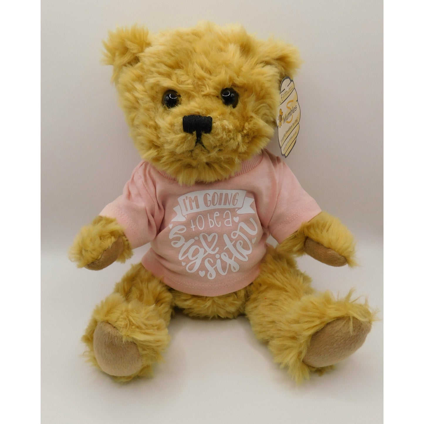 'I'm going to be a Big sister' teddy bear/ sibling gifts/ new baby/ adoption